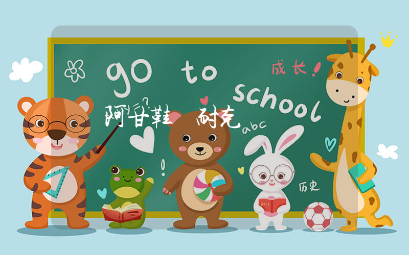 阿甘鞋 耐克插图